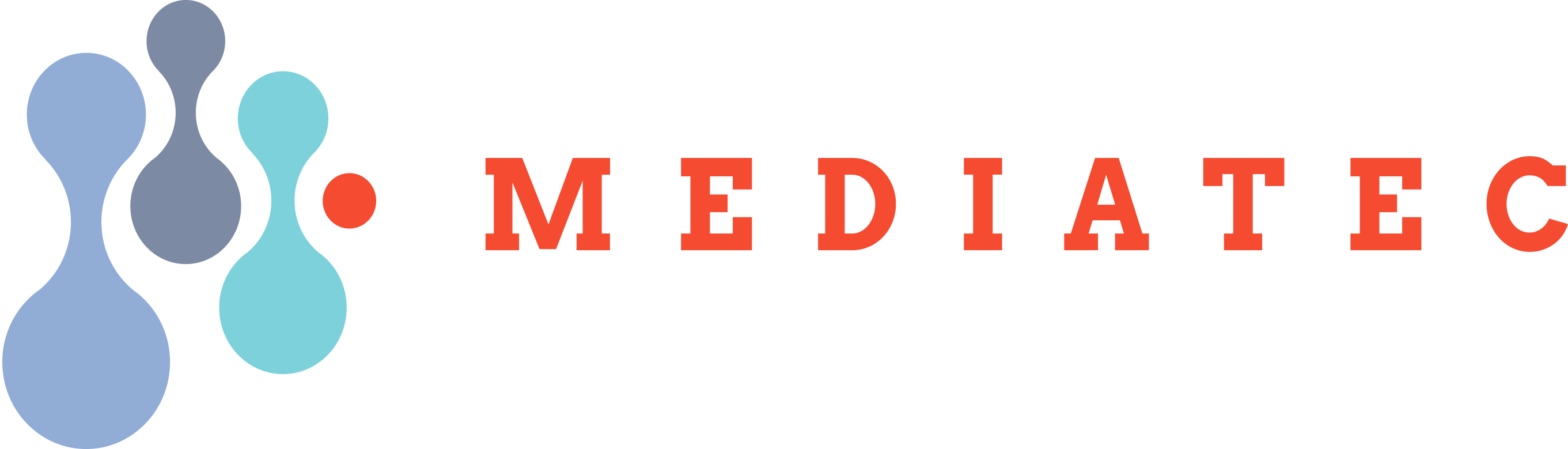 Mediatec Informatica S.r.l.